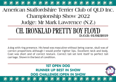 11. CH. IRONKLAD PRETTY BOY FLOYD.png